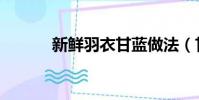 新鮮羽衣甘藍做法(甘藍做法)