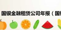 國銀金融租賃公司年報(國銀金融租賃公司)