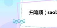 掃筆順(saobi)