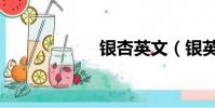 銀杏英文(銀英文)