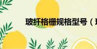 玻纖格柵規格型號(玻纖格柵)