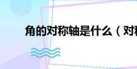 角的對稱軸是什么(對稱軸是什么)