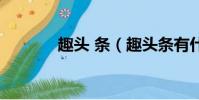 趣頭 條(趣頭條有什么風險)