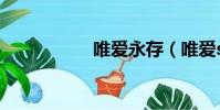 唯愛永存(唯愛sj13)
