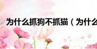 為什么抓狗不抓貓(為什么不抓愛狗人士)
