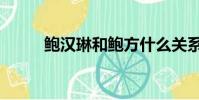 鮑漢琳和鮑方什么關系(鮑漢琳)