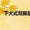 下犬式雙腳是分開的還是并攏的（下犬式）