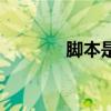 腳本是掛（腳本和掛的區別）