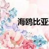 海鷗比亞迪怎么樣（比亞迪怎么樣）