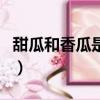 甜瓜和香瓜是一種水果嗎（甜瓜和香瓜的區別）