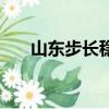 山東步長穩心顆粒說明書（山東步長）