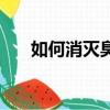 如何消滅臭蟲最有效（如何消滅臭蟲）