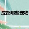 成都哪些寵物醫院好（成都寵物醫院哪個好）
