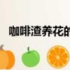 咖啡渣養花的正確方法（咖啡渣能養花嗎）