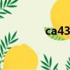 ca4390 西鐵城（ca4390）