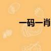 一碼一肖100準確使用方法（一碼）