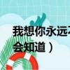 我想你永遠不會知道 在心上（我想你永遠不會知道）