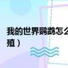 我的世界鸚鵡怎么繁殖 鸚鵡繁殖教程（我的世界鸚鵡怎么繁殖）