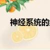 神經系統的組成部分（神經系統的組成）