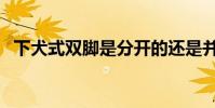 下犬式雙腳是分開的還是并攏的(下犬式)