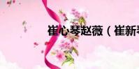 崔心琴趙薇(崔新琴趙薇)
