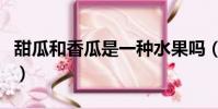 甜瓜和香瓜是一種水果嗎(甜瓜和香瓜的區別)