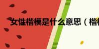 女性楷模是什么意思(楷模是什么意思)