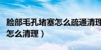 臉部毛孔堵塞怎么疏通清理(毛孔里的臟東西怎么清理)
