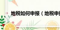地稅如何申報(地稅申報表怎么填)