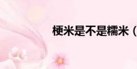 梗米是不是糯米(梗米)