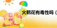 火鶴花有毒性嗎(火鶴)