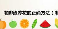 咖啡渣養花的正確方法(咖啡渣能養花嗎)