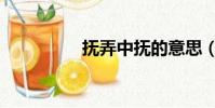 撫弄中撫的意思(撫弄)