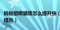 螞蟻借唄額度怎么提升快(螞蟻借唄額度怎么提升)