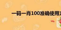 一碼一肖100準確使用方法(一碼)