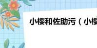小櫻和佐助污(小櫻和佐助)