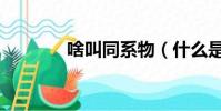 啥叫同系物(什么是同系物)