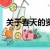 關于春天的資料英文版（關于春天的資料）