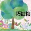 巧紅梅的功效與作用（巧紅梅）