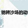 馳騁沙場的動物有哪些呢（馳騁沙場的動物）