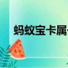 螞蟻寶卡屬于什么卡（螞蟻金卡是什么）