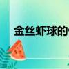 金絲蝦球的做法教程（金絲蝦球的做法）