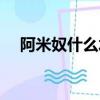 阿米奴什么水平（阿米奴為什么是王子）