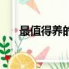 最值得養的君子蘭品種（君子蘭品種）
