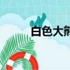 白色大熊貓有幾只（白色大熊貓）