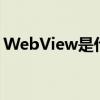 WebView是什么文件夾（webview是什么）