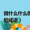 微什么什么微的成語都有哪些（微什么什么微的成語）