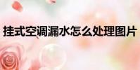 掛式空調漏水怎么處理圖片(掛式空調漏水)