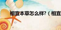 相宜本草怎么樣?(相宜本草怎么樣)