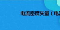 電流密度矢量(電流密度)